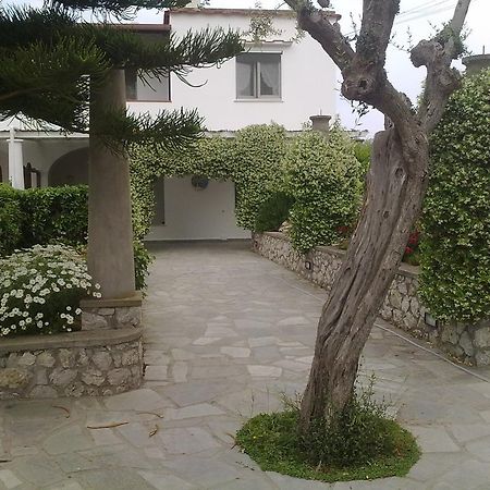 Il Merlo Anacapri  Extérieur photo