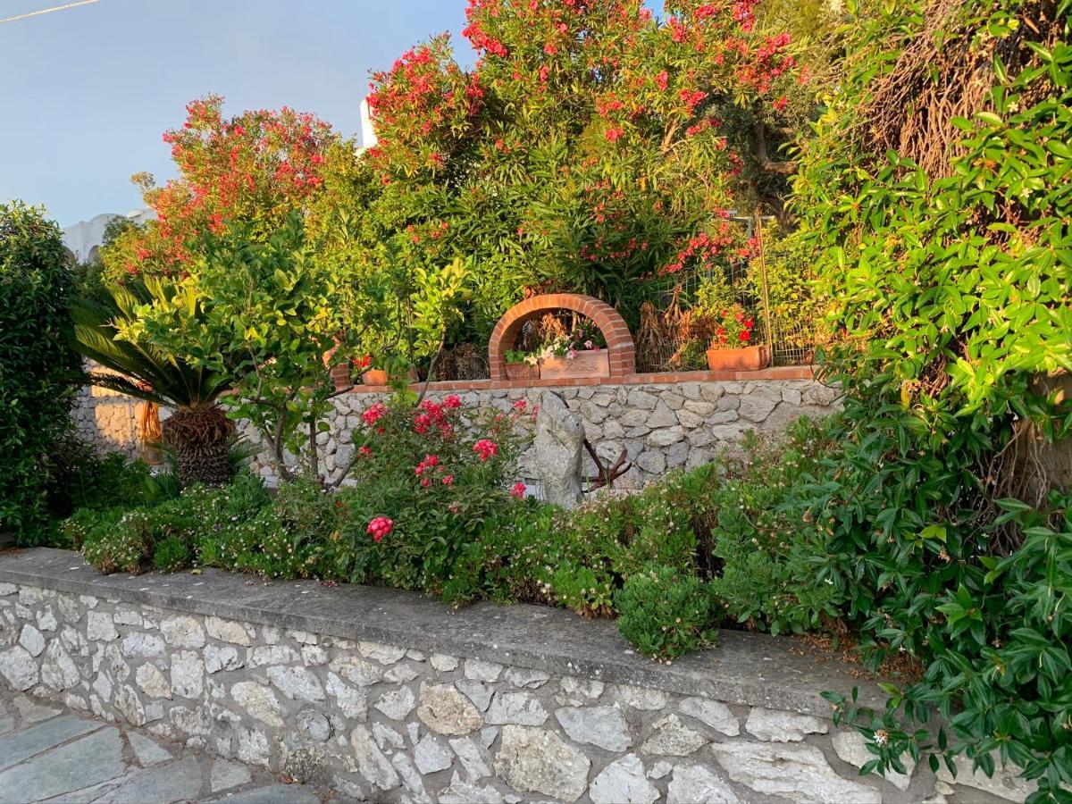 Il Merlo Anacapri  Extérieur photo