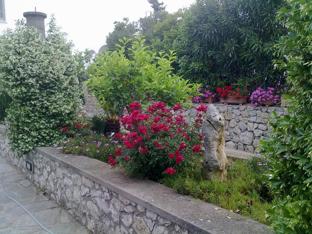 Il Merlo Anacapri  Extérieur photo